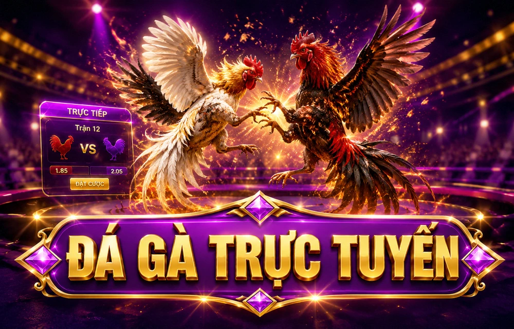 Danh sách kiểm tra trước khi dùng thông tin Bắn cá
